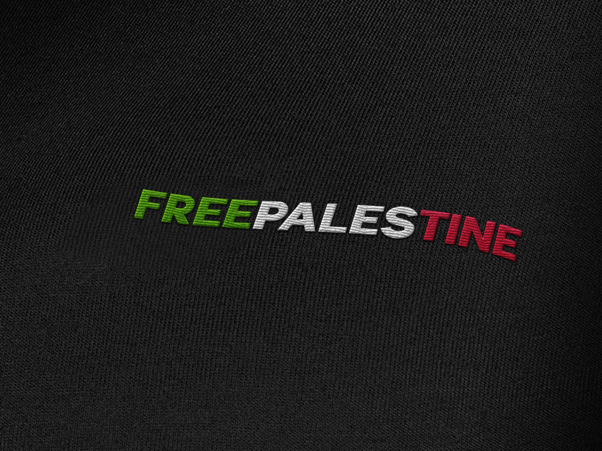 Arewa "Free Palistine" Embroidery Oversized Premium Hoodie - Arewa Lifestyle